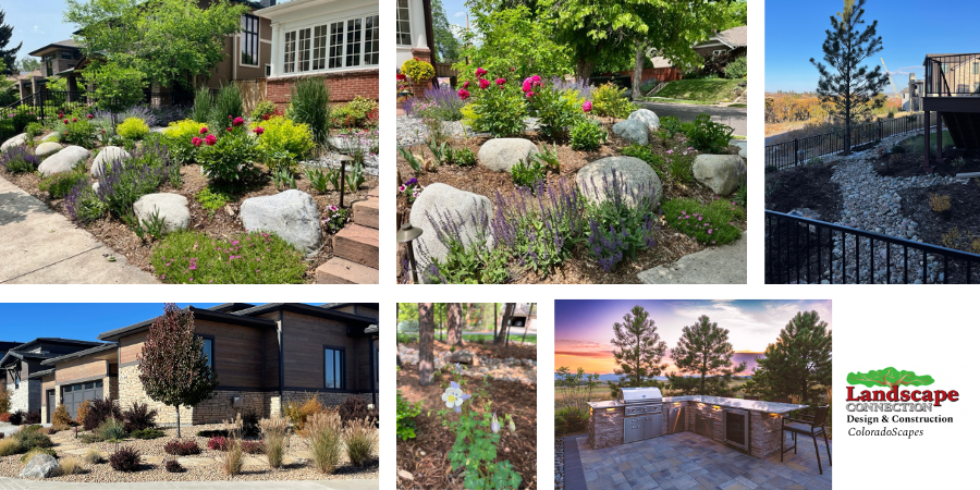 ColoradoScaping